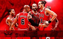 Chicago Bulls 2011 NBA Conference Finals