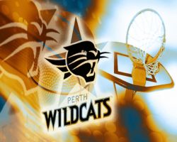 Perth Wildcats