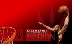 Shawn Marion Raptors Widescreen