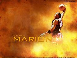 Shawn Marion Suns Dunk